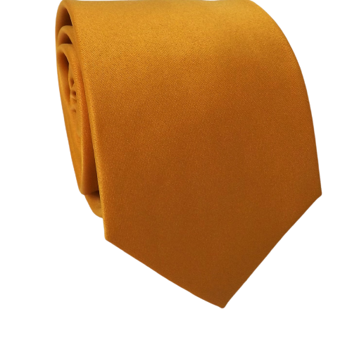 GRAVATA TRADICIONAL LISA DE POLIÉSTER MOSTARDA